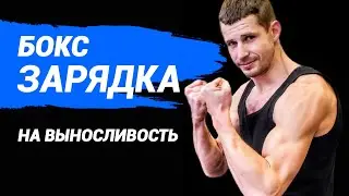 Зарядка на выносливость в боксе
