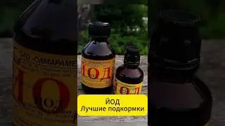 Лучшие подкормки на основе йода для вашего огорода!  