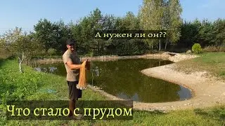 Мой пруд на участке. Пруд на даче своими руками. Свой пруд.