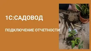 КАК ПОДКЛЮЧИТЬ 1С-ОТЧЕТНОСТЬ В ПРОГРАММЕ 1С:САДОВОД?