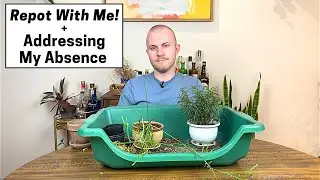 Why Have I Been So Quiet Lately? | Repot With Me!