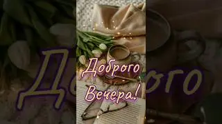 Доброго вечера!