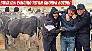 😳 Bugun Zoʻr Boʻldi Buvayda Yangiqo'rg'on Mol Bozori ♻️