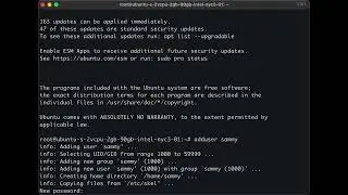 SysAdmin with Me: Initial Server Setup Ubuntu 24.04 LTS