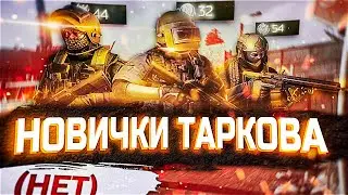 Escape from Tarkov. Новички на Таможне #tarkov #gopster