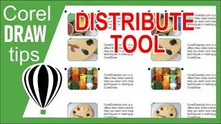 Distributing selected objects in Coreldraw