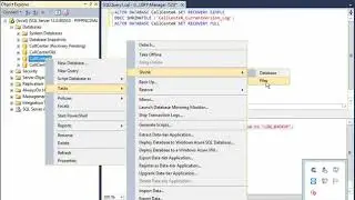 Shrink/Delete DB Log