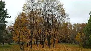 Конец октября