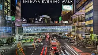 A Cold and Miserable Evening Walk through Shibuya