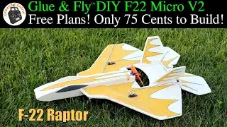 Wrinkled the Nose & it's still flying great! Glue & Fly™﻿ Series DIY Micro F22 Raptor 380mm Parkjet