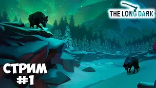 НАЧАЛО ВЫЖИВАНИЯ // The Long Dark - стрим #1