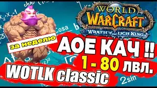 Быстрая АоЕ прокачка 1-80 в World Of Warcraft за мага WOTLK Classic AOE spots. 