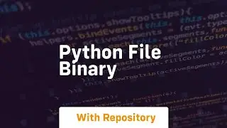 python file binary