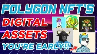 Top Polygon NFT Digital Assets Today!