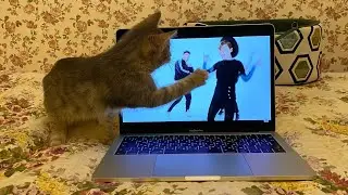 Луночка танцует под клип #ЗдрасьтеЯНастя