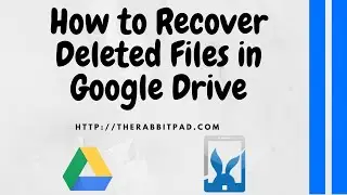 How to Recover Deleted Files in Google Drive