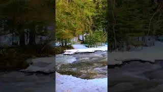 Beautiful icy River Flowing Sound Forest River, Relaxing Nature Sounds  White Noise for Sleep #Short