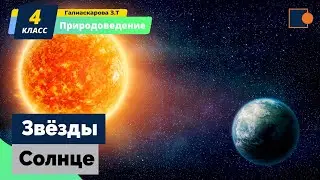 Звёзды. Солнце. Природоведение