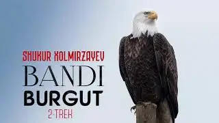 Audio kitob | Bandi burgut 2-qism | Shukur Xolmirzayev