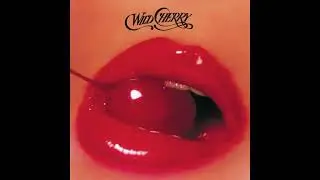 Wild Cherry   Play That Funky Music HD