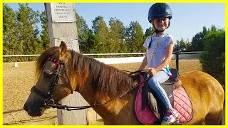 УРОК ВЕРХОВОЙ ЕЗДЫ 🐎 НА ПОНИ ИЛИ ЛОШАДИ? КТО РАЗБИРАЕТСЯ?