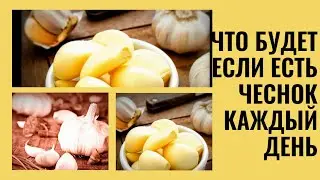 ЧТО БУДЕТ ЕСЛИ ЧЕСНОК ЕСТЬ КАЖДЫЙ ДЕНЬ