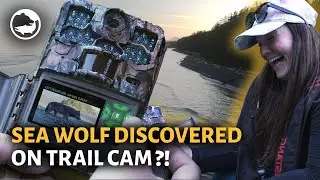 Camera Traps - Documenting Wildlife in a Non-Invasive Way