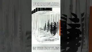 Watch magnetic fields with ferrofluid