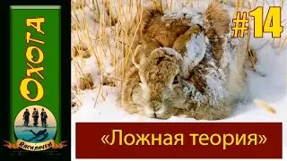 Охота на зайца.  Ложная теория
