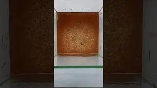 +10°С дафния