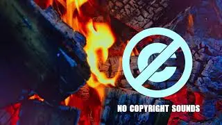 Zeper - What You Need [No Copyright Sounds]