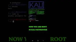 Kali Nethunter in Termux 😈 Rootless 🥷 1 Minute Tutorial 👌 