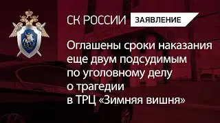 Оглашены сроки наказания еще двум подсудимым по уголовному делу о трагедии в ТРЦ «Зимняя вишня»