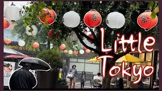 Walking in the Rain: Unexpected Delights of Little Tokyo