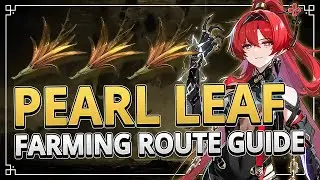 Pearl Leaf 360 Locations Farming Route Guide | Wuthering Waves 1.0