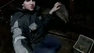 Подрались нутрии. Съемка на новую камеру
