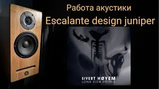 Демонстрация работы акустики Escalante design juniper музыка Sivert Høyem - Blown Away