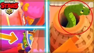EN GİZLİ 10 DETAY - BRAWL STARS - GÖRMEDİĞİNİZ DETAYLAR