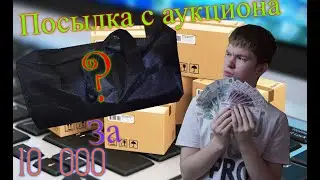 ЗАКАЗАЛ КЕЙС НА АУКЦИОНЕ ЗА 10 000