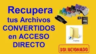 Como RECUPERAR Archivos Convertidos en Acceso Directo en USB