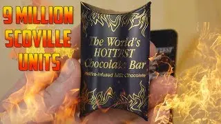 Worlds Hottest Chocolate Bar Challenge | Gingerbread House Building FAIL | What!? What!?