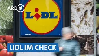 Lidl: der beste Discounter? Sortiment und Preise im Vergleich | Marktcheck SWR