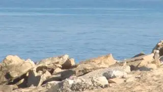 Rock Formation and Sea Royalty Free Stock Background Video Effect Footage AA VFX