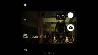 took off the real cartoon cat