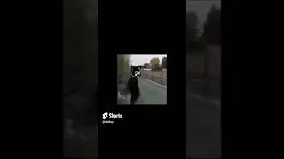 Мемы Дельтарун 