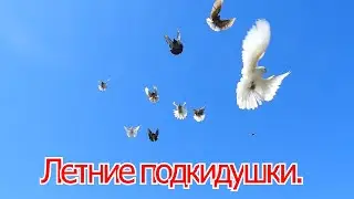 г Богучар, Летние подкидушки