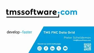 Next Generation Data Grid for Delphi (Webinar replay)