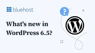 What's new in WordPress 6.5?