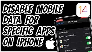 How to Disable Mobile Data for Specific Apps   IPhone Tutorial iOS14