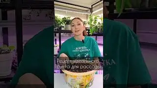 Готовим идеальный грунт для рассады 